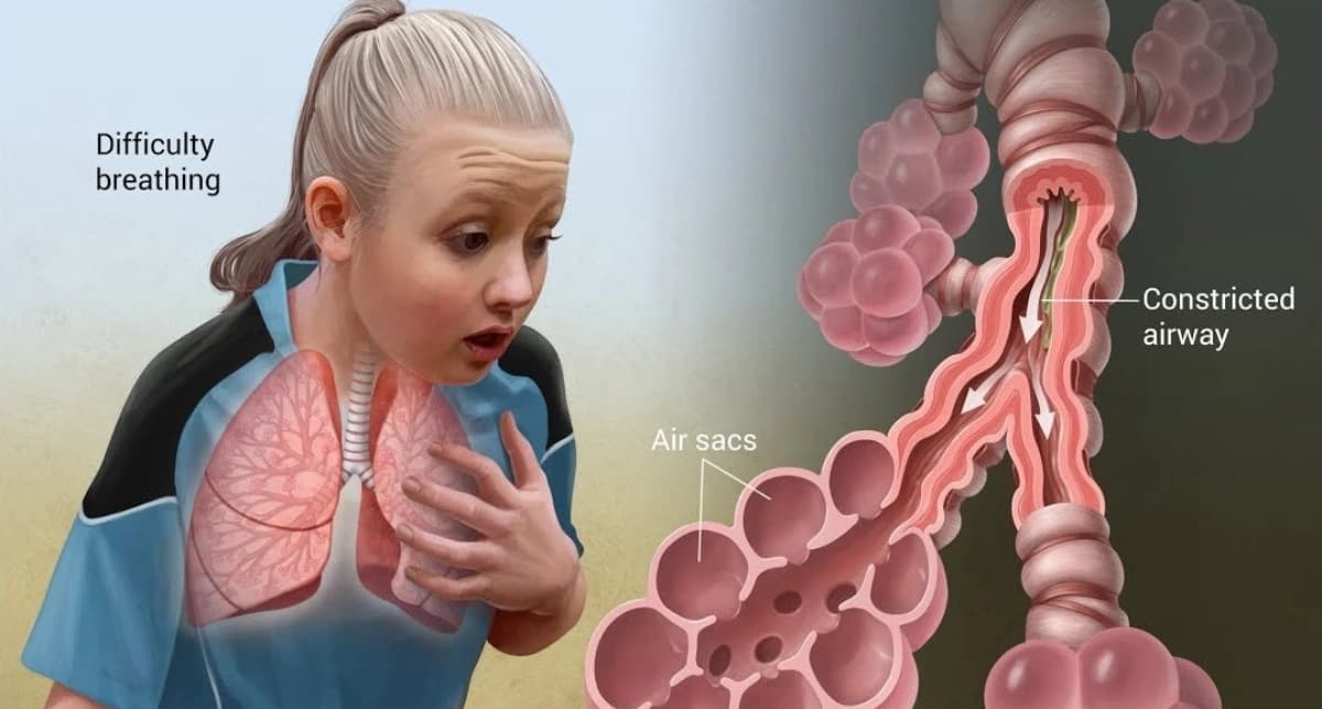 Wheezing While Breathing: Causes, Symptoms and Treatment