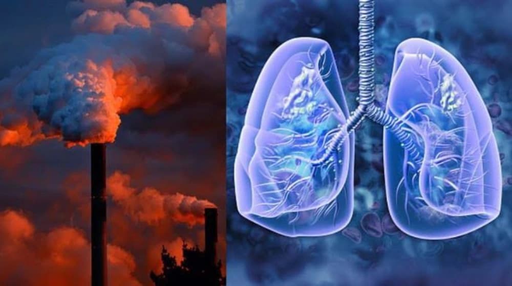 Air Pollution Effects on Lungs: Symptoms, Long-Term Risks and How to Protect Your Lungs